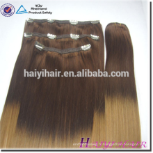 En gros Vente Chaude Plein Cuticules Double Dessiné Remy Extensions de Cheveux Humains Clip Dans